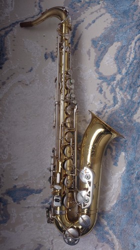Borgani professional 0166s - borgani,