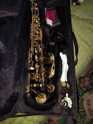Alto saxophone with - saxophone, case